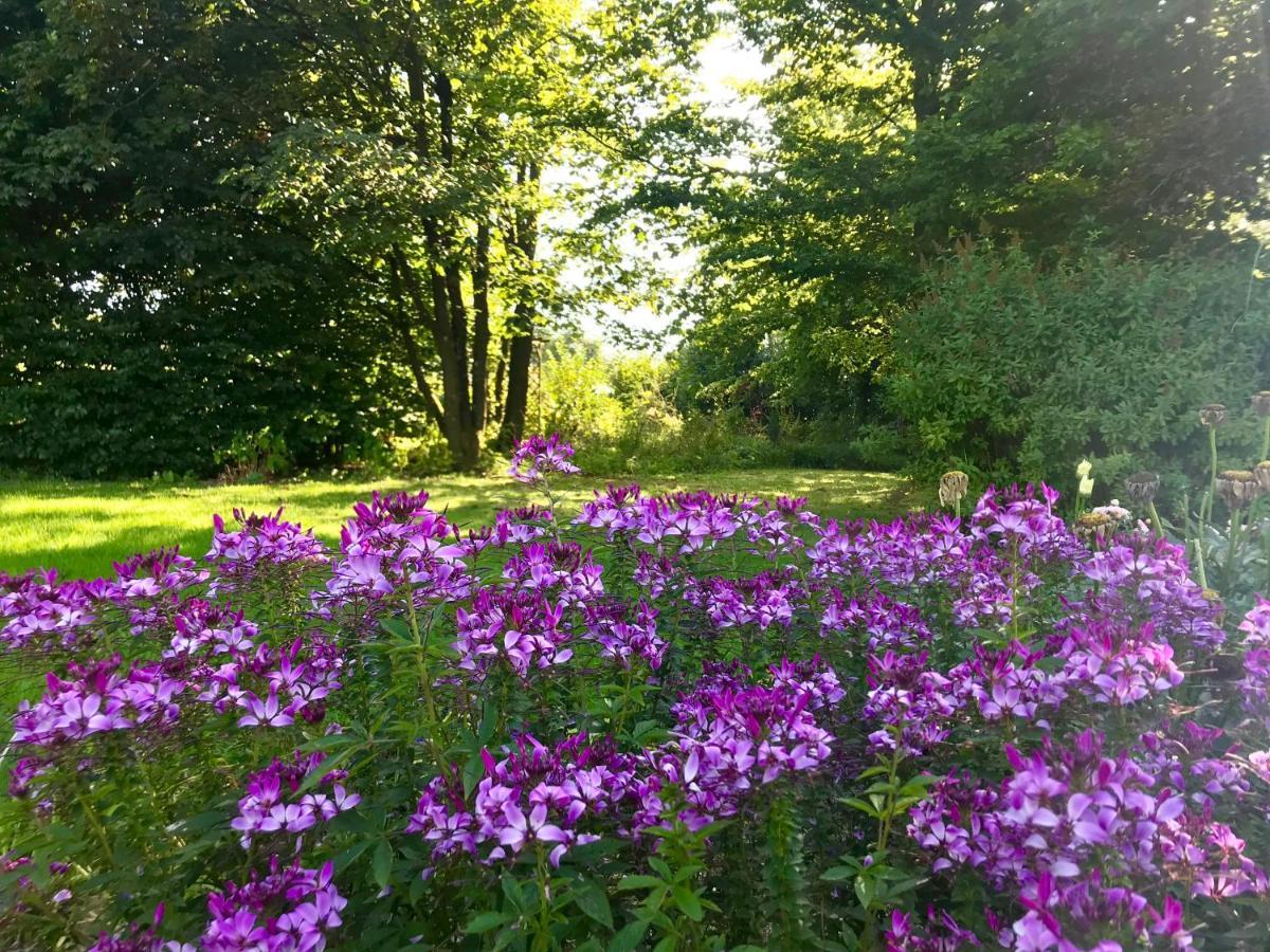 Bed and Breakfast "Un Matin Au Jardin" Francorchamps Exteriér fotografie